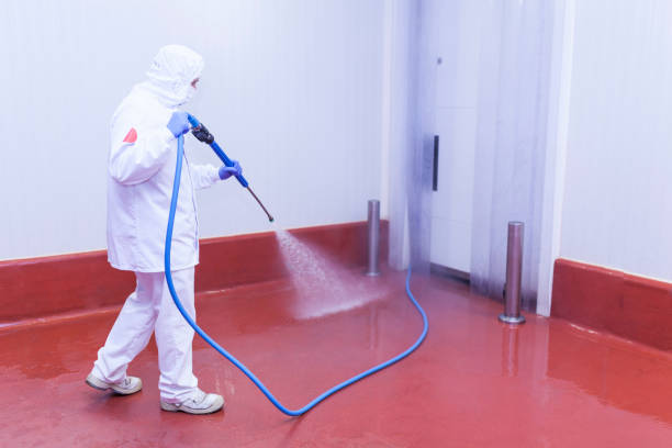 Best Deck and Patio Pressure Washing in Jamestown, ND