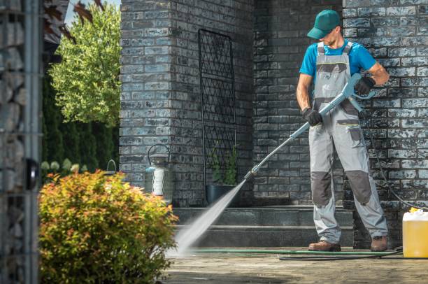 Best Roof Cleaning and Mildew Removal in Jamestown, ND